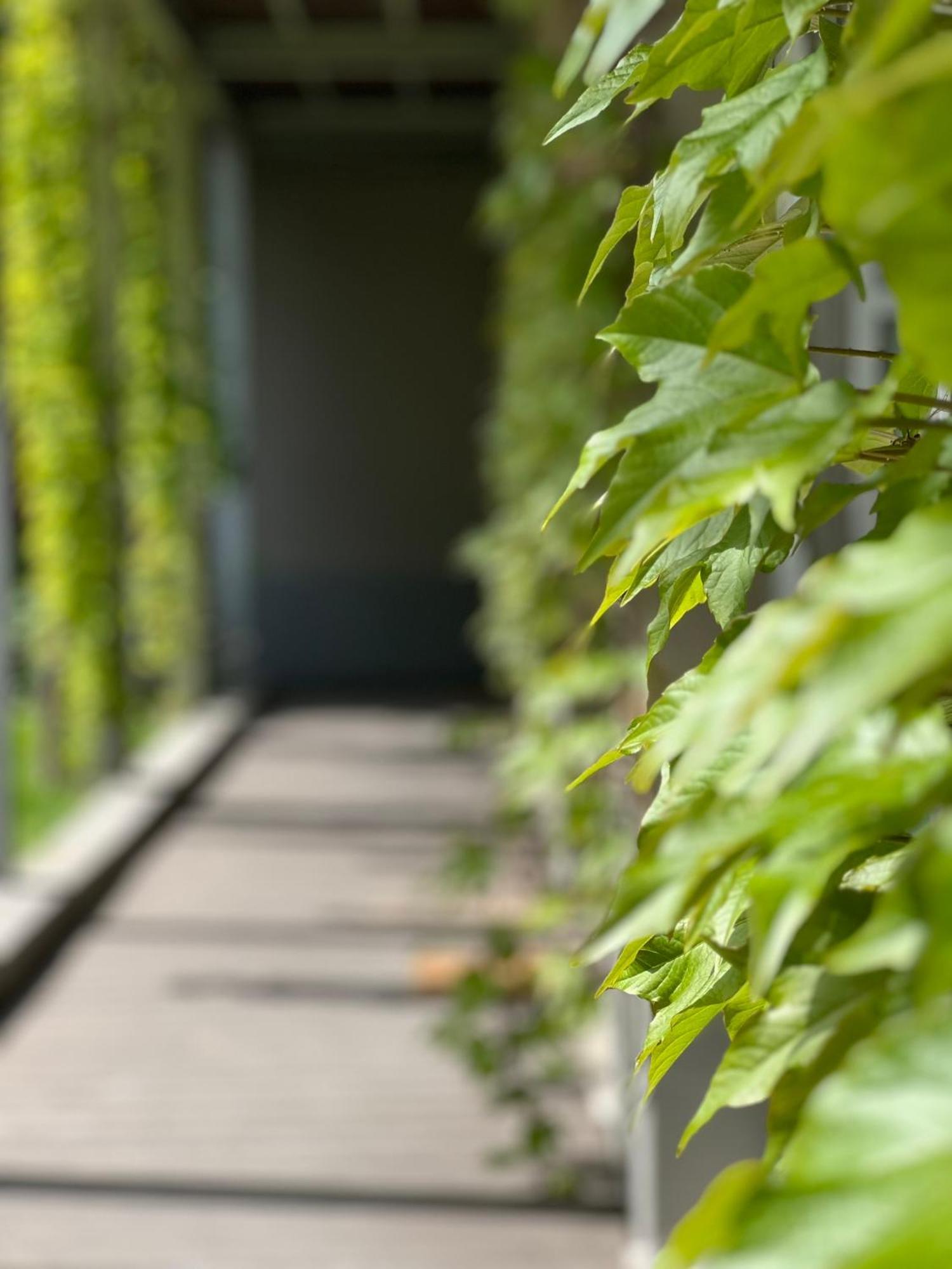 Bed and Breakfast Loft G Hospitality Milano Esterno foto